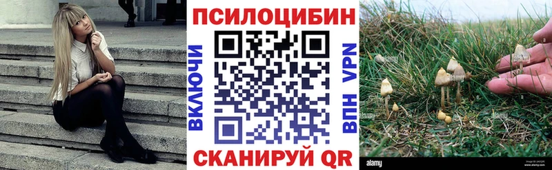 закладки  Ленск  Галлюциногенные грибы мухоморы 